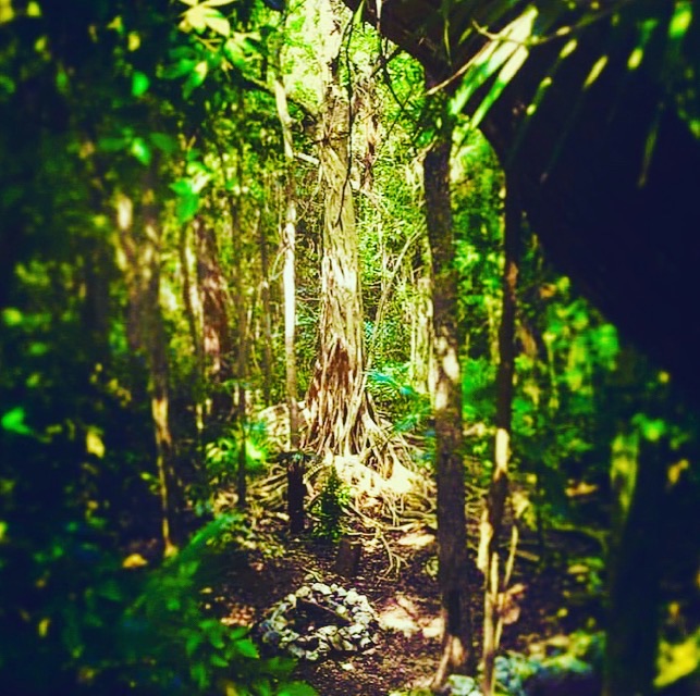 One Breath of Yoga Ashram 2