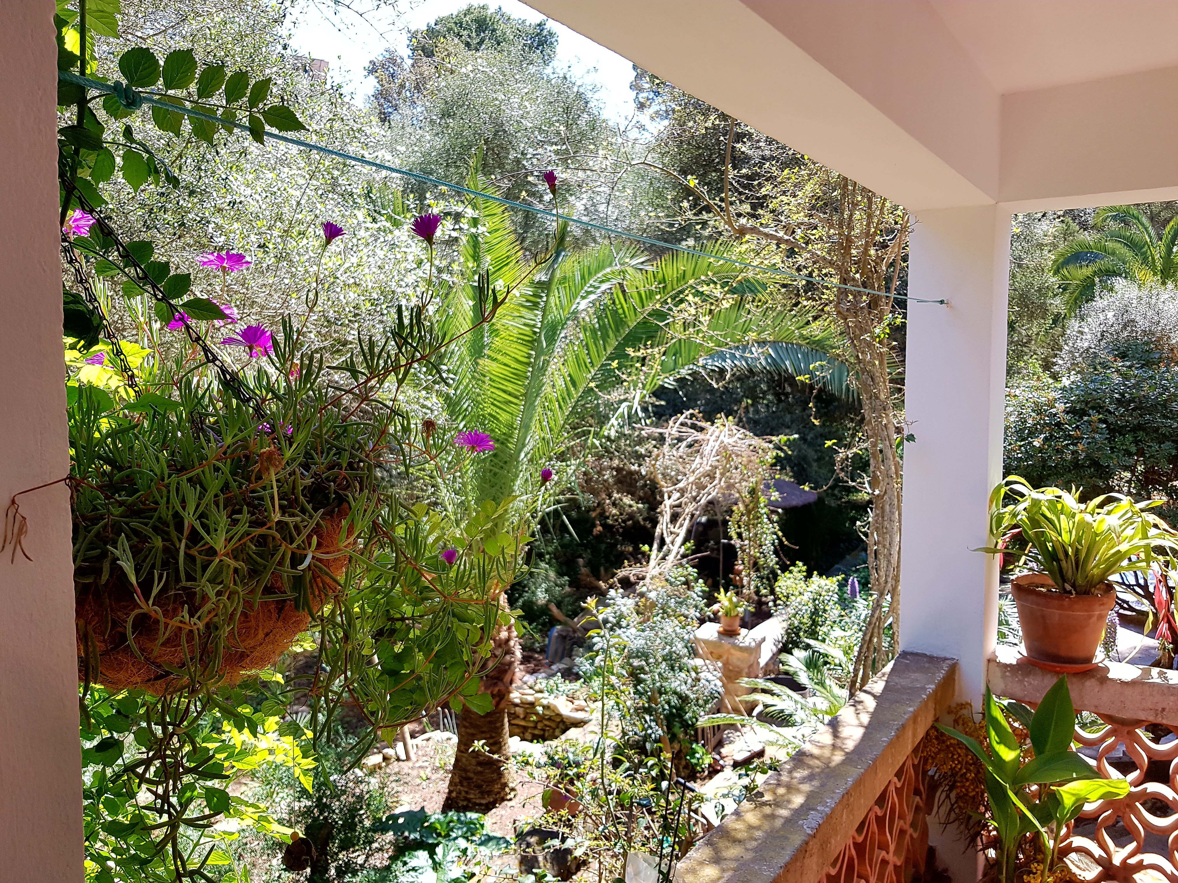 Sharanam Retreats 2