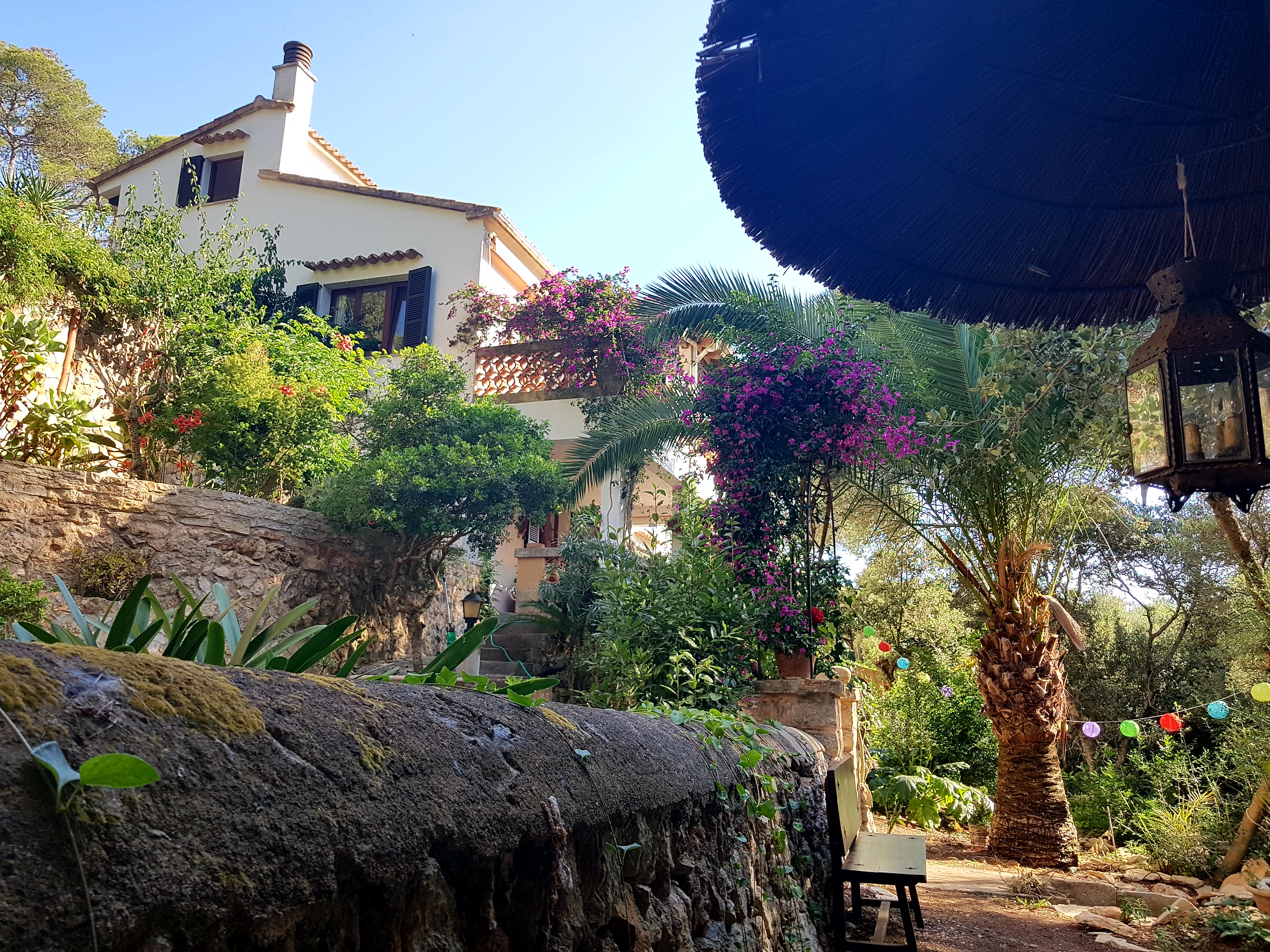 Sharanam Retreats 5