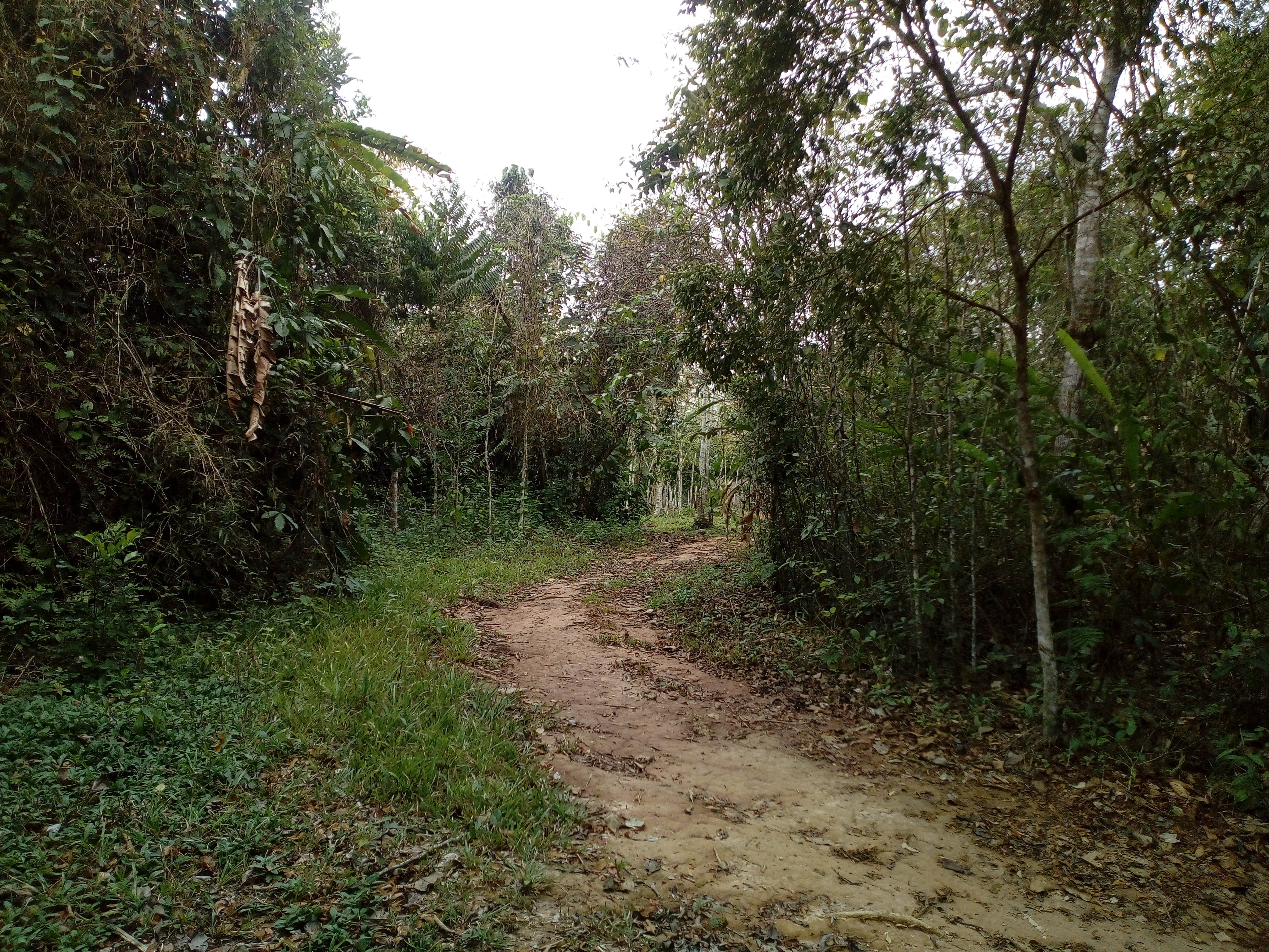 Centro Espiritual Noya Rao 2