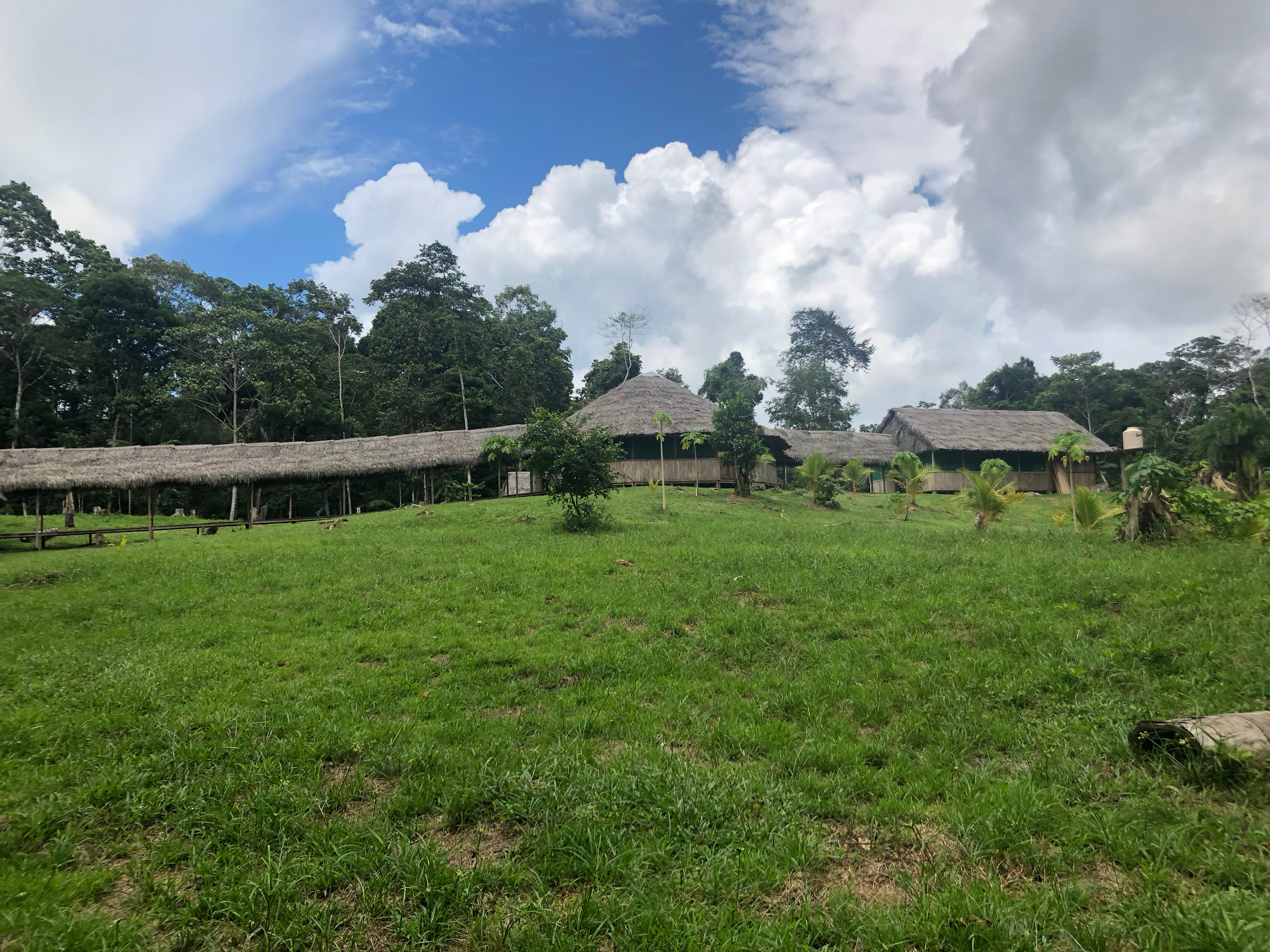 The Otorongo Center 5