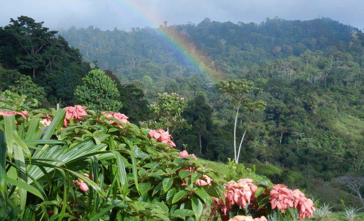 Farm of Life (Finca de Vida) Costa Rica 8