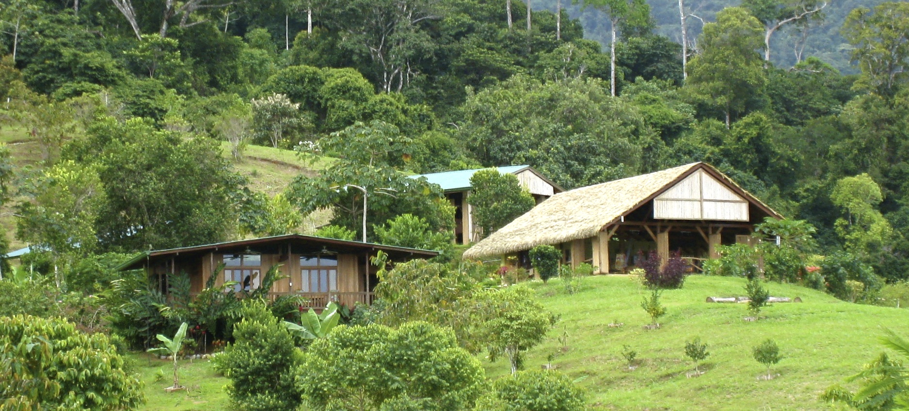 Farm of Life (Finca de Vida) Costa Rica 7