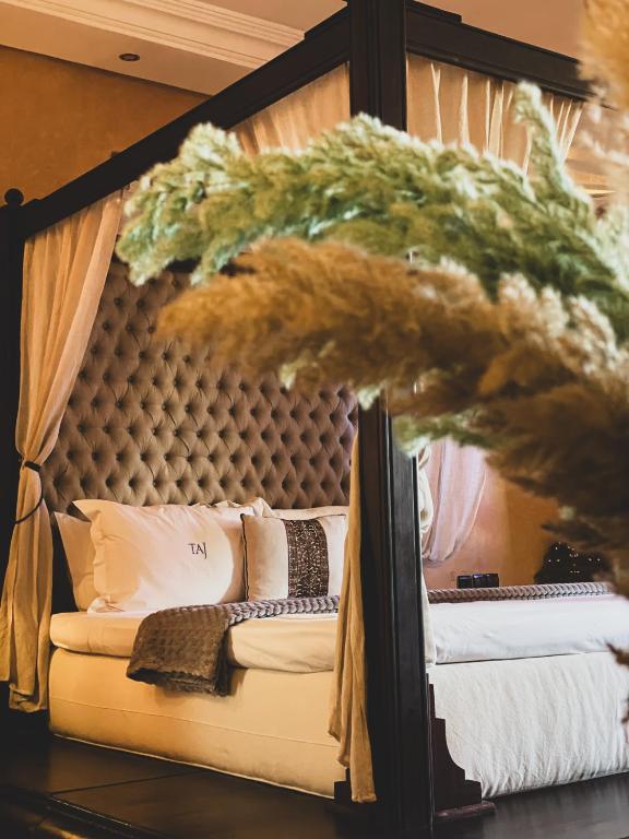 Mina MindSoulBody 2