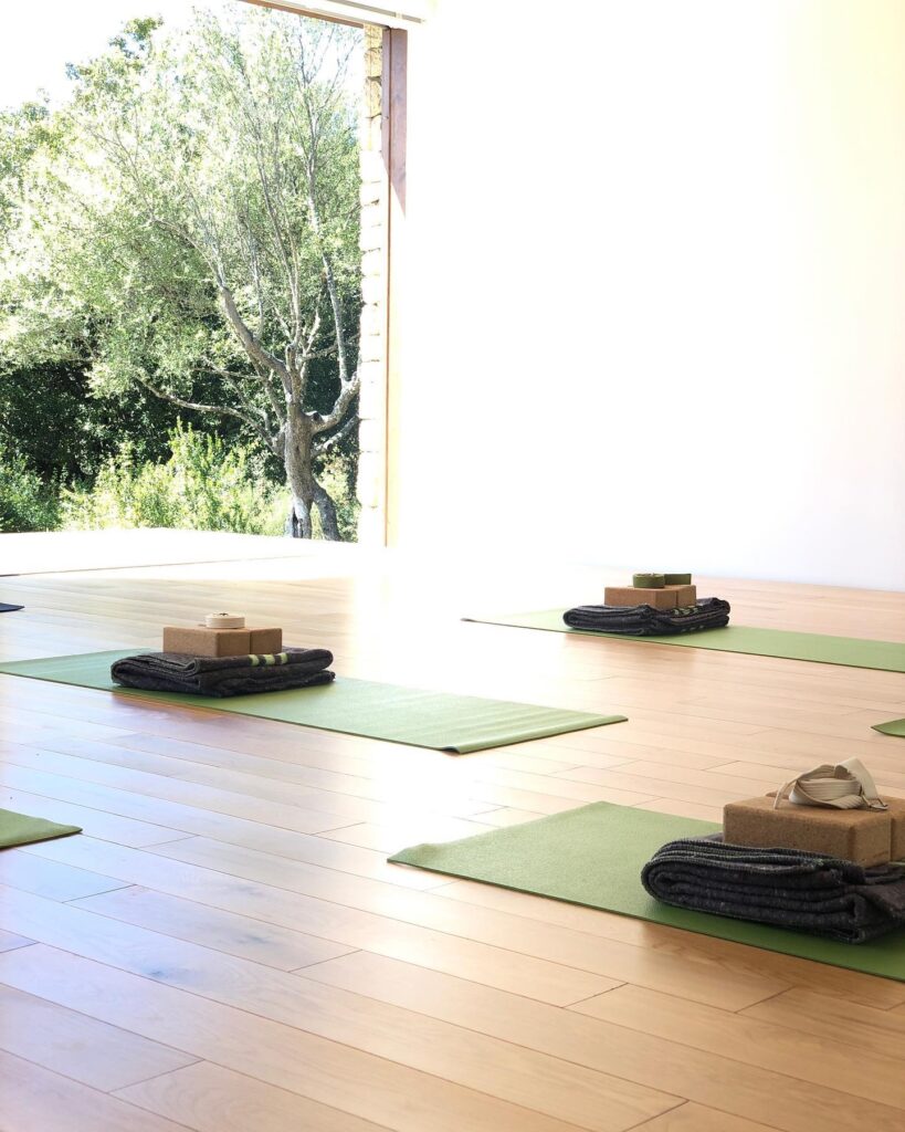 Vim Yoga Academy 3