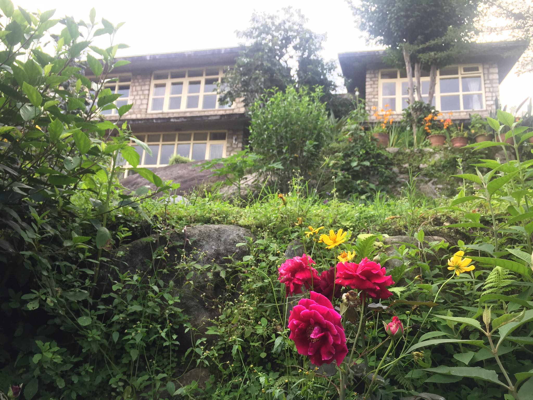 Sambodhi Yoga Home 4