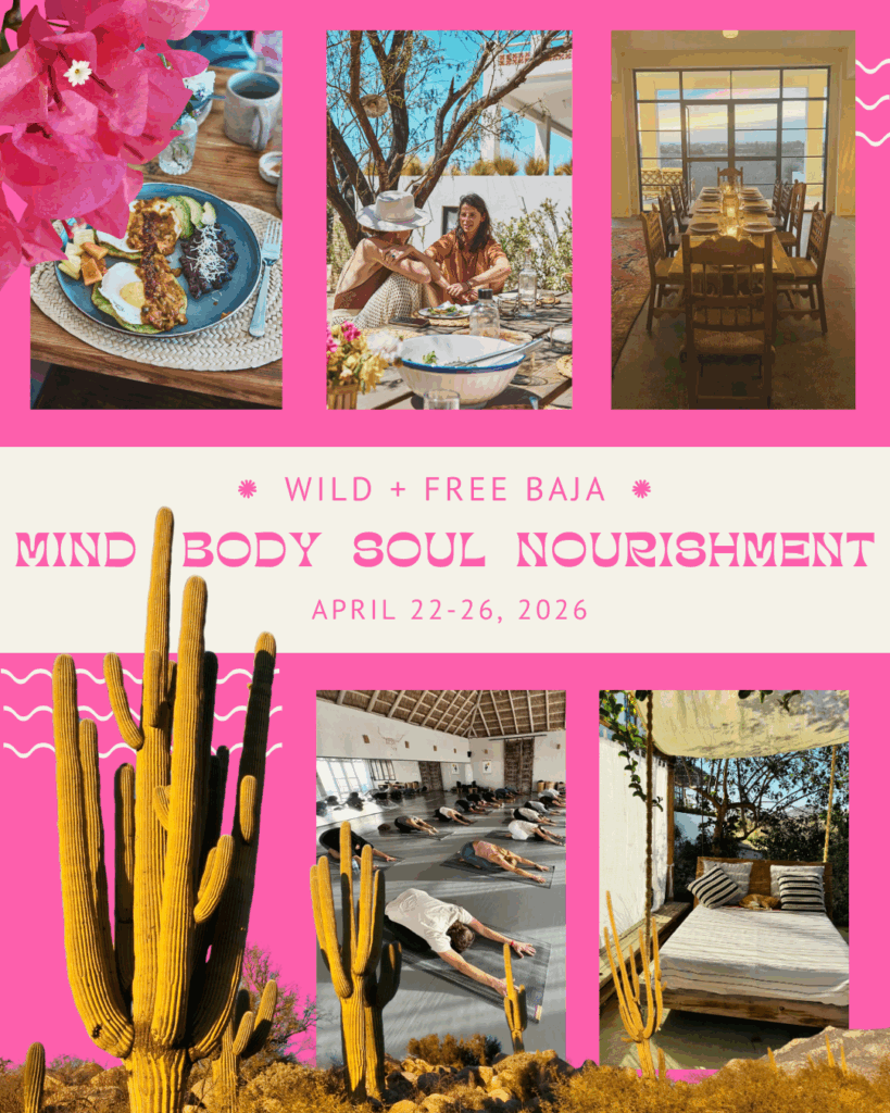 Wild Acorn Wellness 4