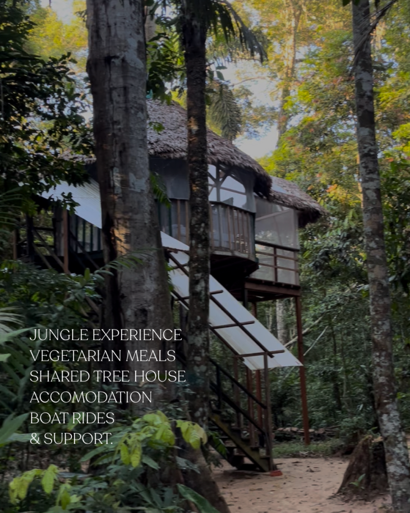 8-day Ayahuasca and Plant Medicine Amazon Retreat Apr 19 to Apr 26, 2024