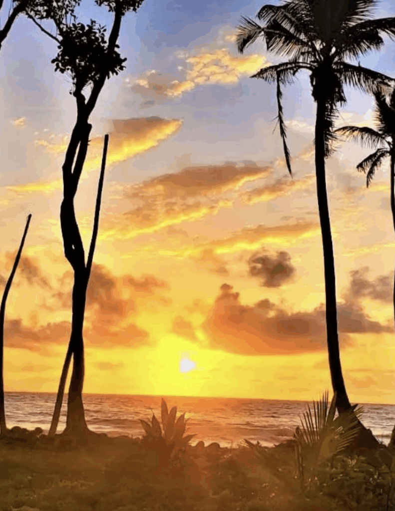 Ebenflo Wellness Retreats 8