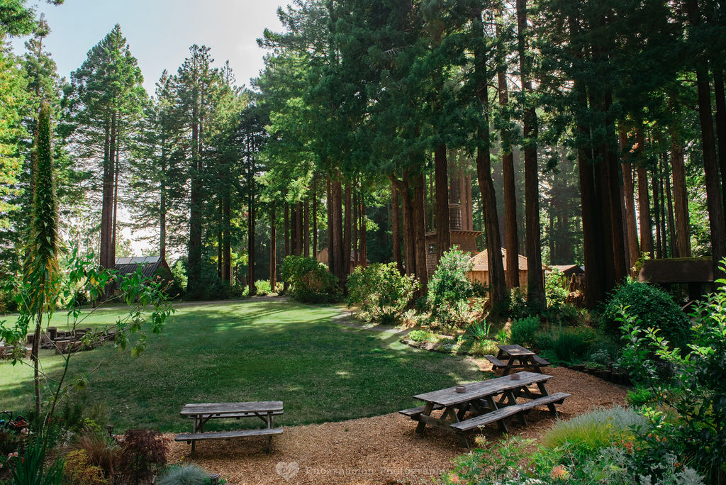 The Catalyst Retreats 3