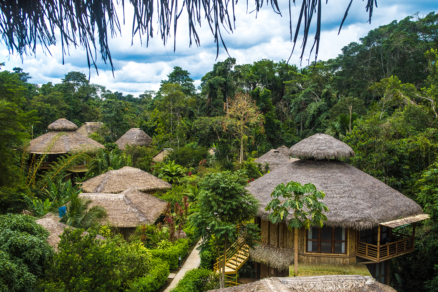 La Selva Amazon Ecolodge & Spa 3