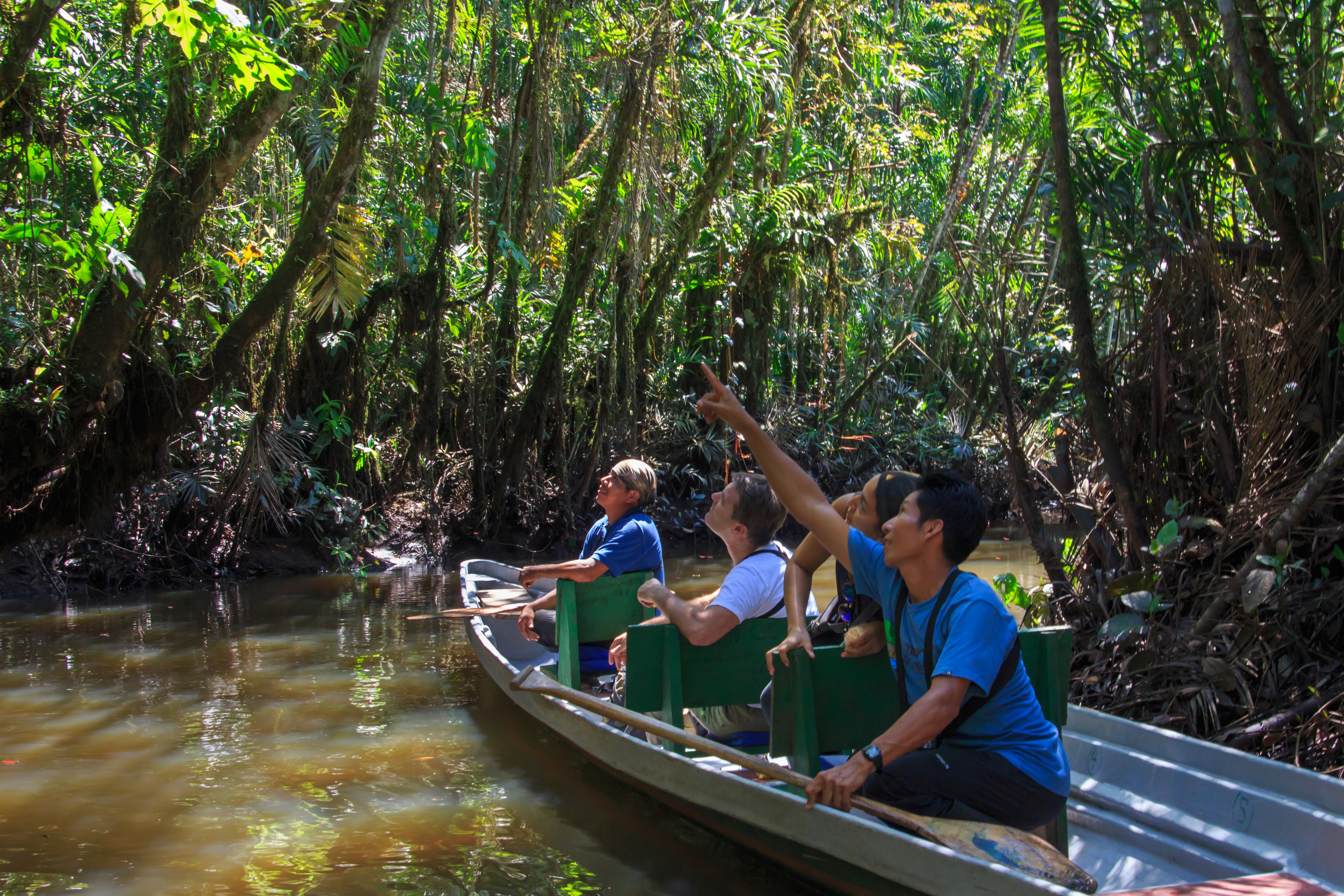 La Selva Amazon Ecolodge & Spa 6