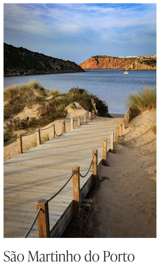 Amy Schamberg Wellness llc 7