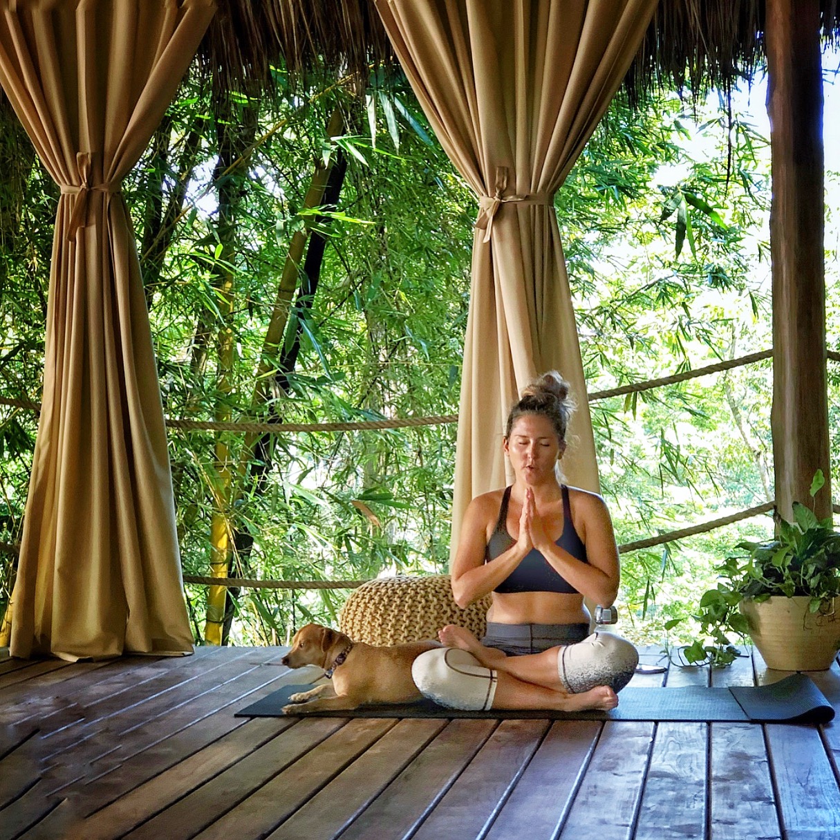 Hari OM Yoga and Wellness 3