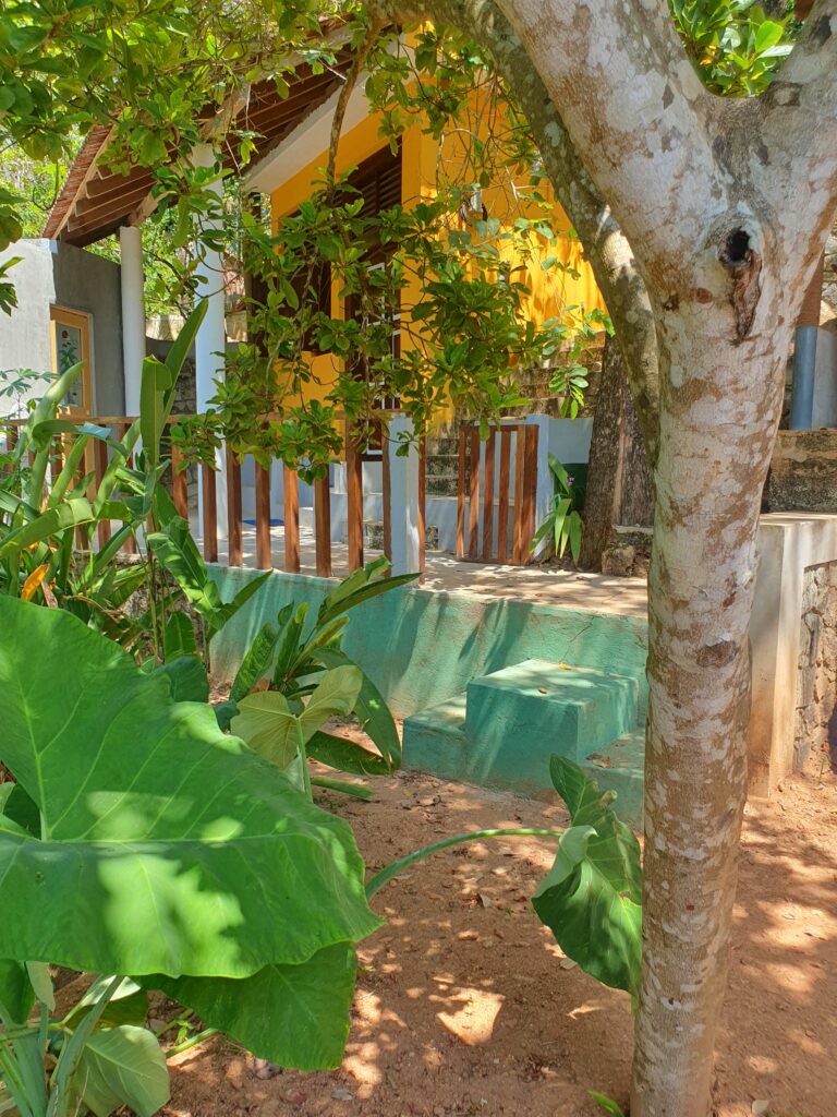 Rukshan Yoga Studio 5