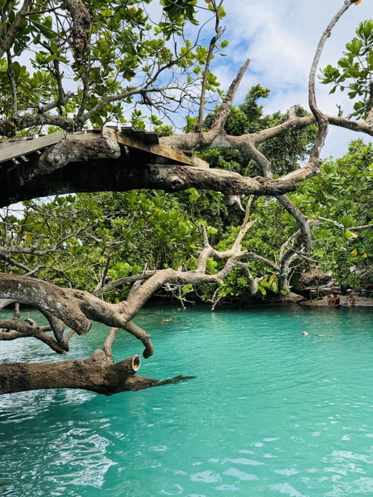 Vanuatu Flow Retreats 6