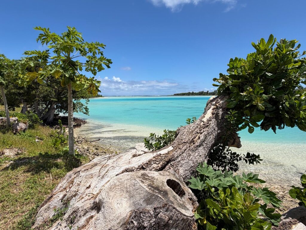 Vanuatu Flow Retreats 2