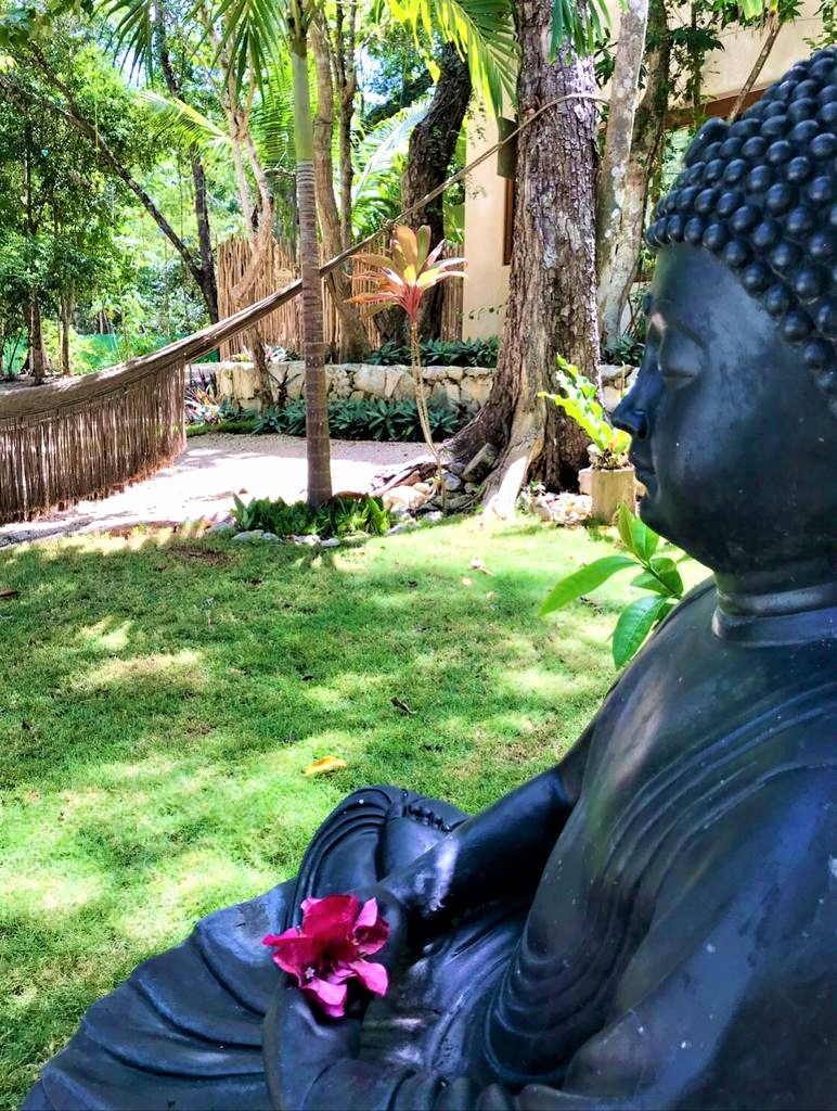 Samskara Ayahuasca Retreat 8