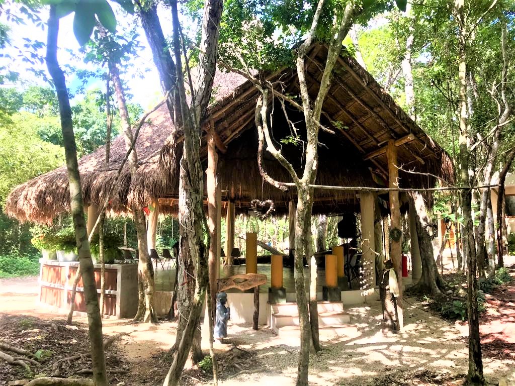 Samskara Ayahuasca Retreat 4