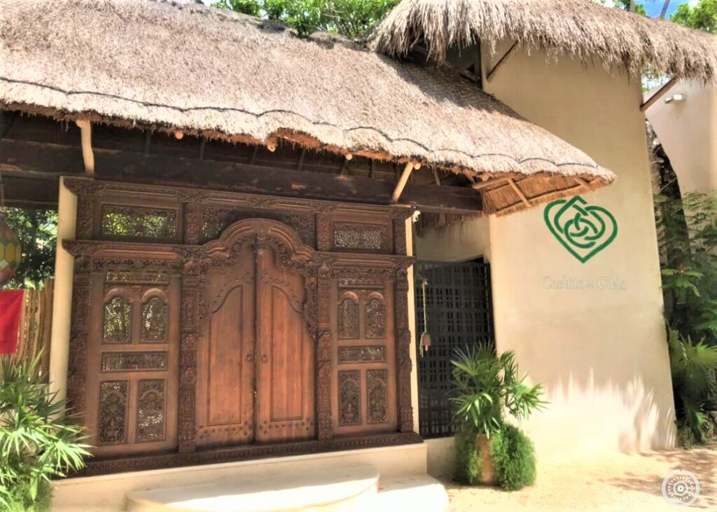 Samskara Ayahuasca Retreat