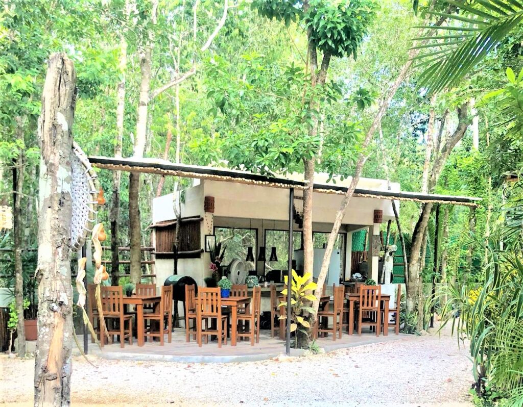 Samskara Ayahuasca Retreat 5