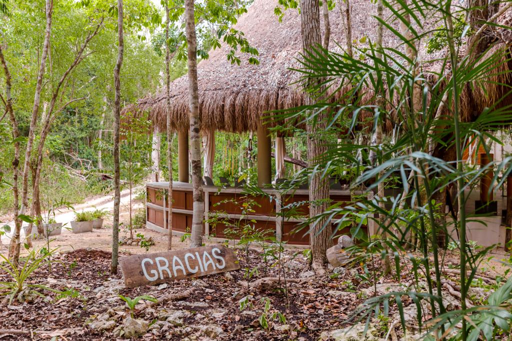 Samskara Ayahuasca Retreat 6