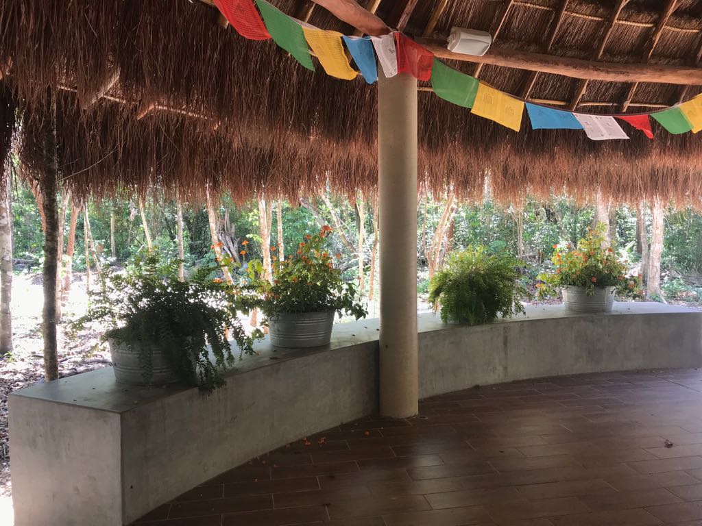 Samskara Ayahuasca Retreat 7