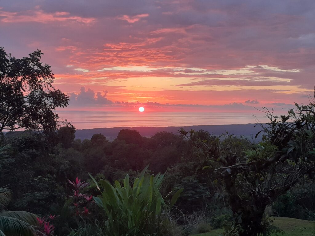 5-Day Iboga Retreat in Savegre, Costa Rica