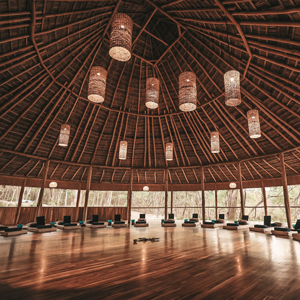 8-Day Ayahuasca Retreat in Guanacaste Province, Costa Rica | July 15