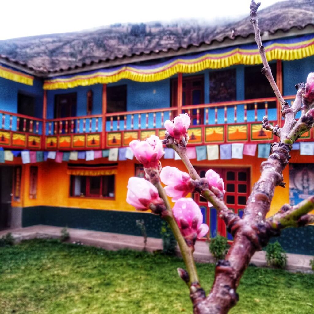 Tantraya Center