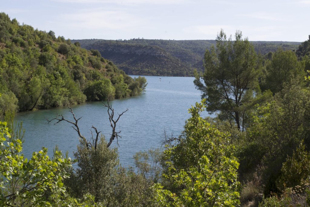 Le Payanet 5