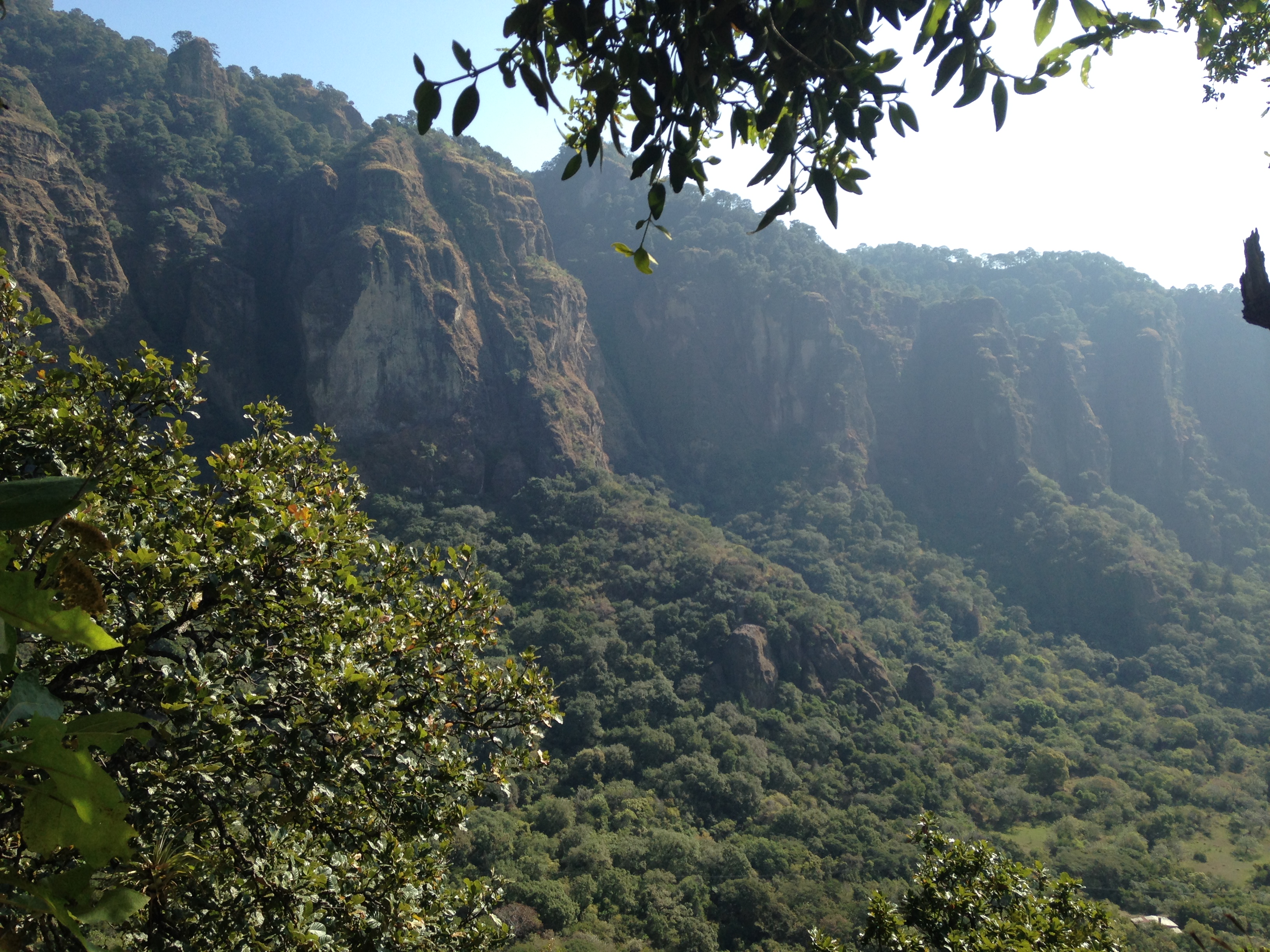Holigral Venues 5