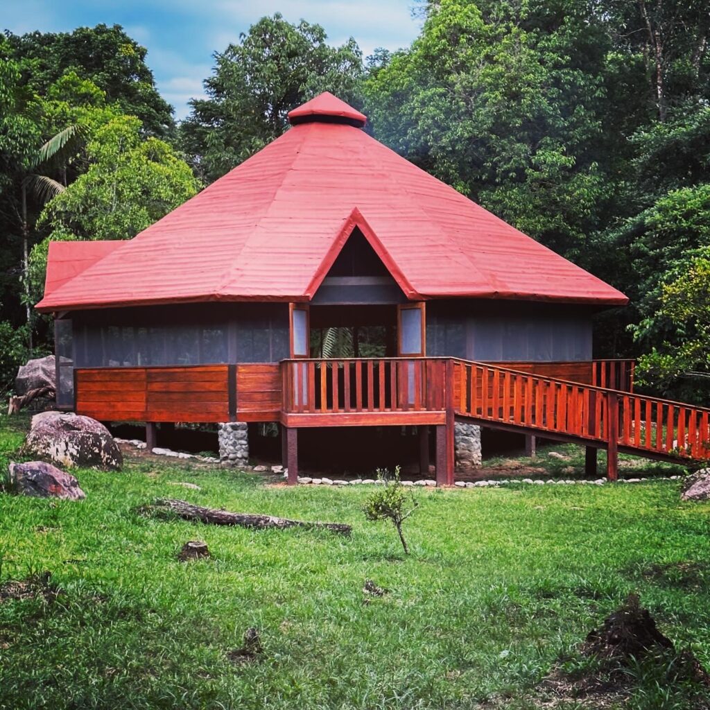 Jungle Harmony 8