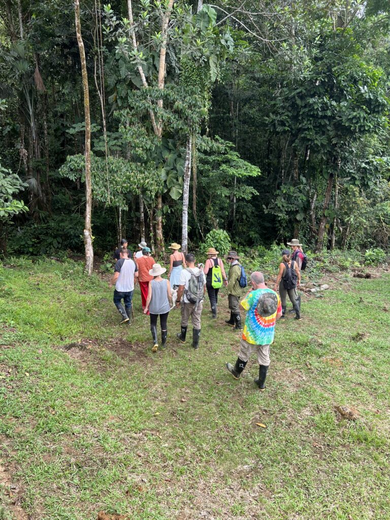 Jungle Harmony 6