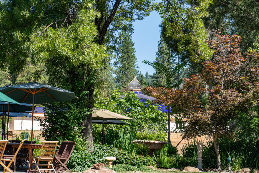 Meditation Retreats 6