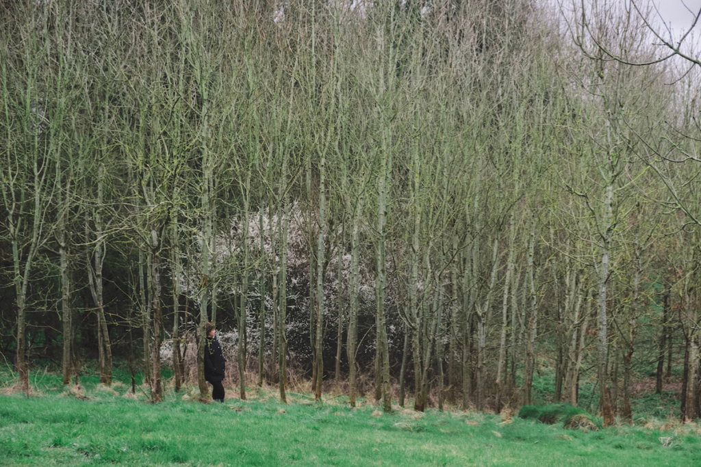 Wootton Park Wellness 5