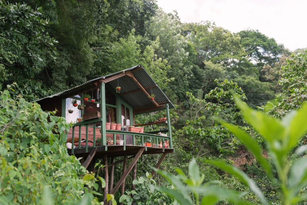 Mystical Yoga Farm 8