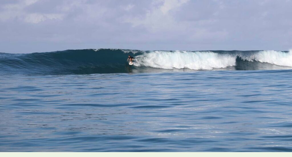 Drevula Heights Yoga and Surf Retreats 5