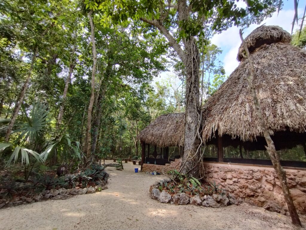 Madre Verde Aya Ceremonies & Retreats 3
