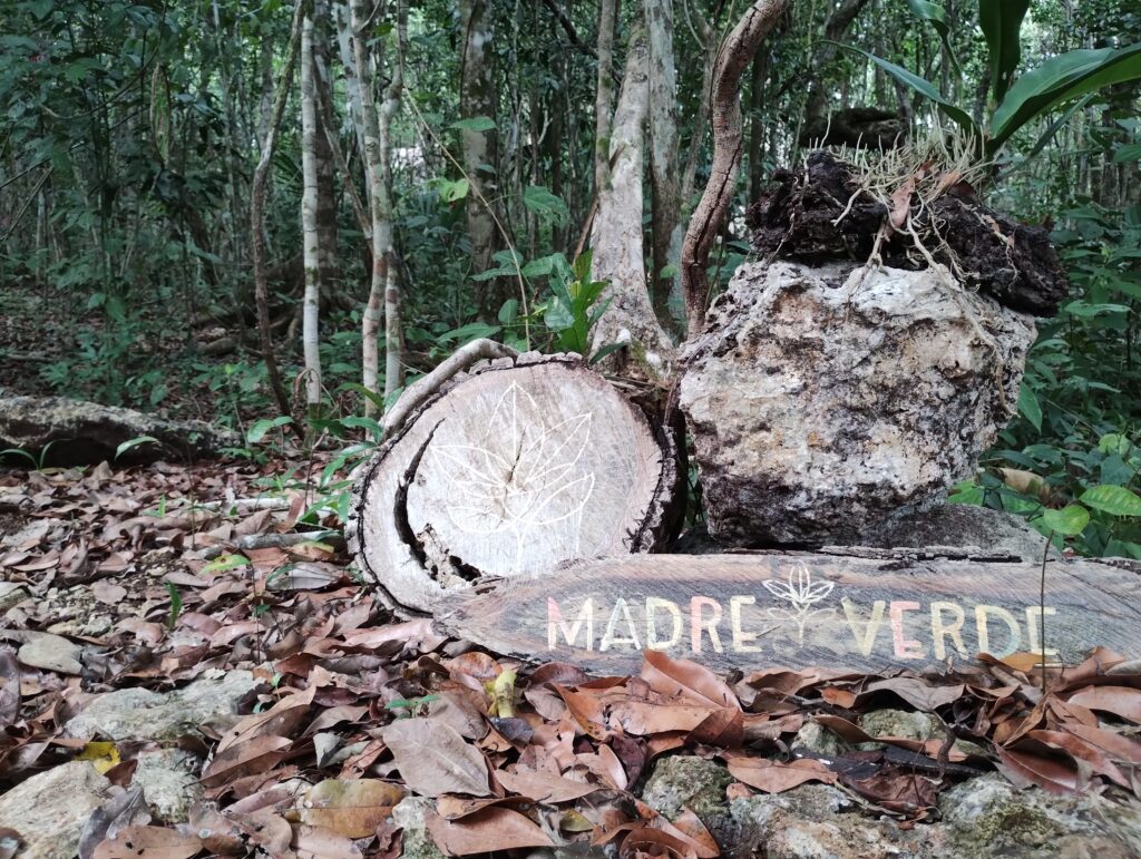 Madre Verde Aya Ceremonies & Retreats 7