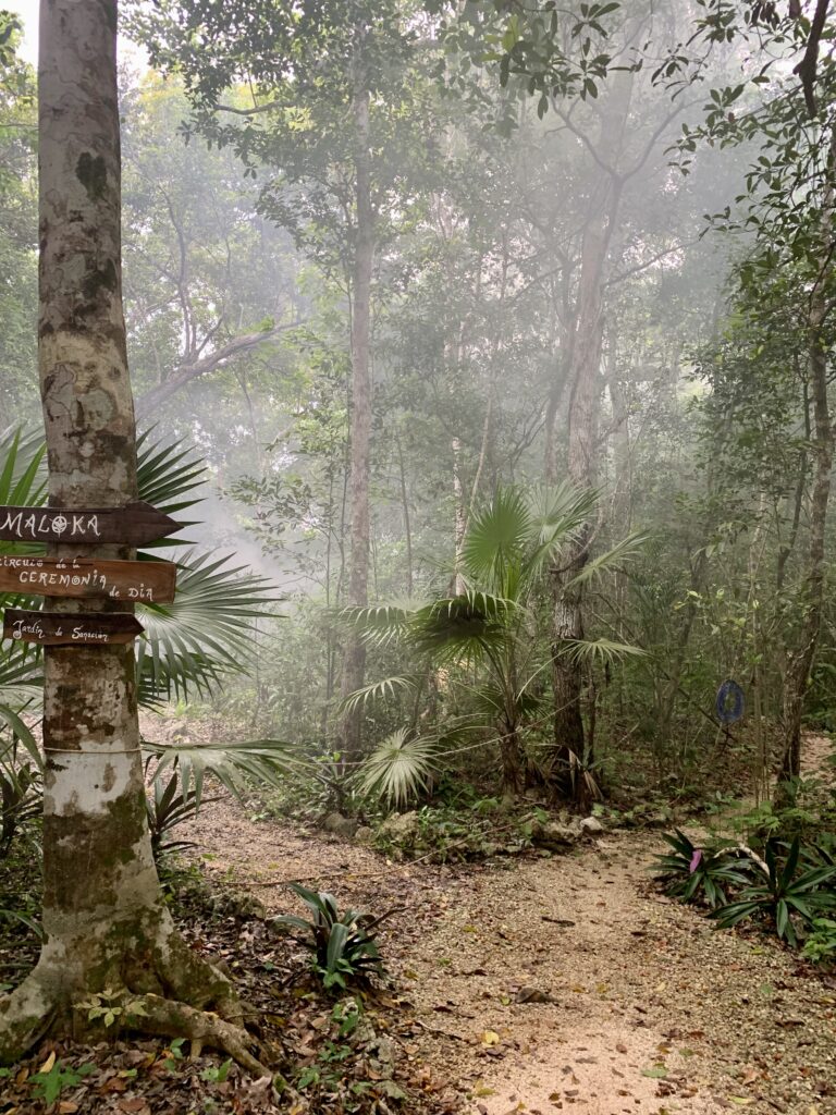 Madre Verde Aya Ceremonies & Retreats 6