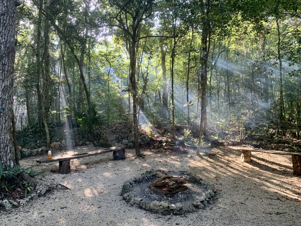 Madre Verde Aya Ceremonies & Retreats 4