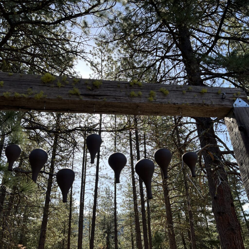 Grunewald Guild 2