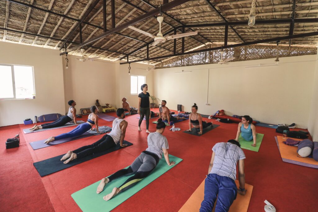 Rishikesh Yog Nirvana 2
