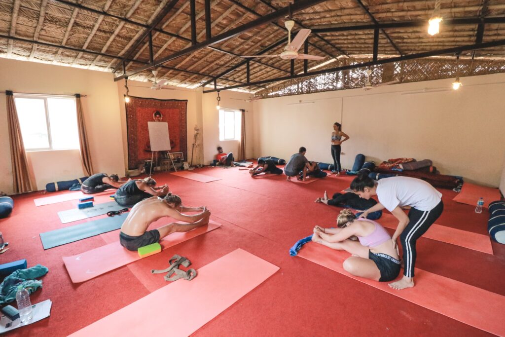 Rishikesh Yog Nirvana 5