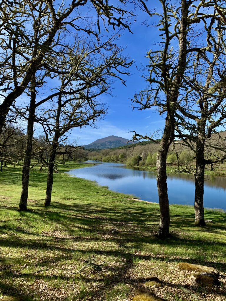 The El Payo Yoga Retreat Experience