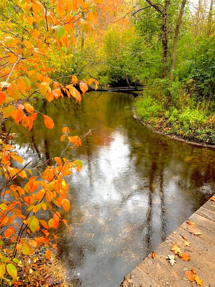 Reflections of You Wellness Retreat
