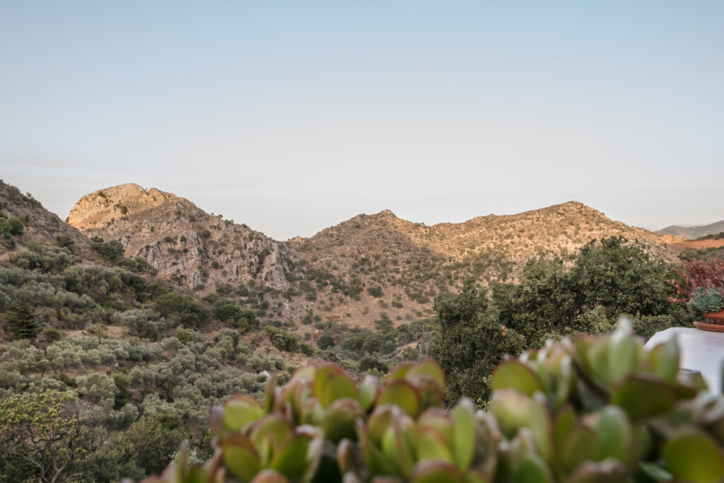 Milia Mountain Retreat 7