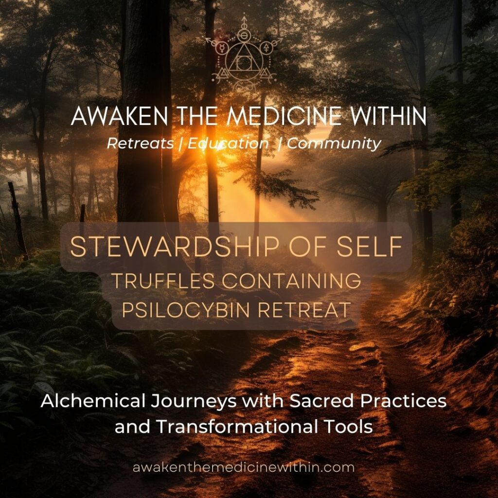 AWAKEN THE MEDICINE WITHIN 3