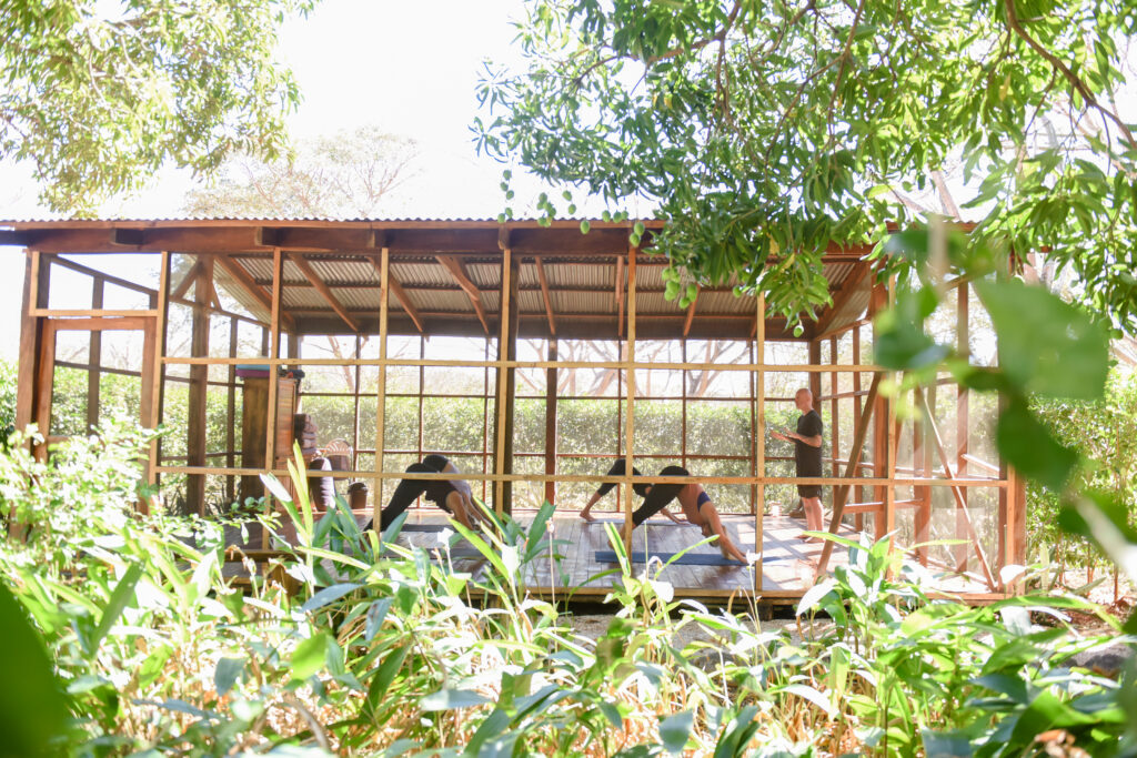 Peace Retreat 4